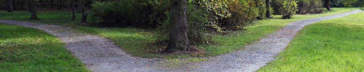 Schöner Waldweg